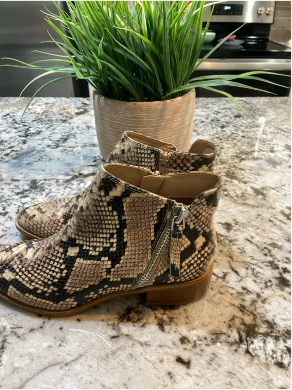 Aldo Snake-Print Ankle Boots in Neutral Tones - Picture 2 of 6